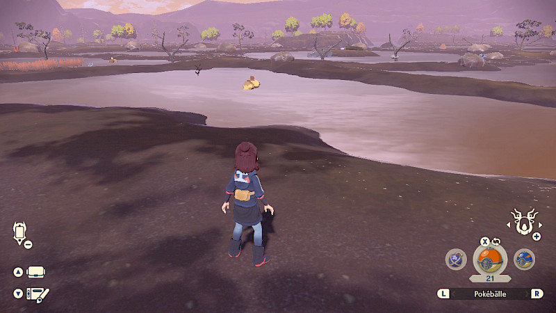 Die Spielfigur beobachtet das Pokémon Hippopotas im Sumpf-Gebiet ohne die Nutzung der Zoom-Funktion. Das Pokémon ist nur schwer zu sehen.