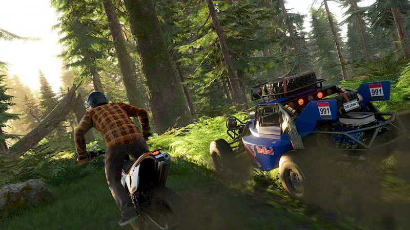 Ein Motorradfahrer und ein Quad fahren nebeneinander im Wald.